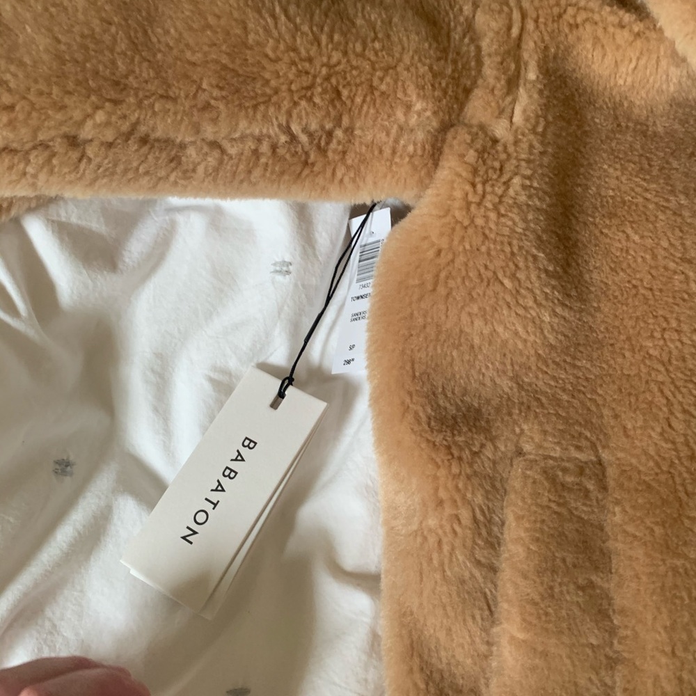 Babaton the Teddy Coat (Aritzia) - NEVER WORN